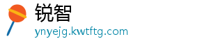 锐智